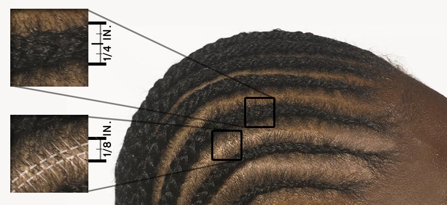 detail photo of corn rows with ruler showing proper spacing of rows